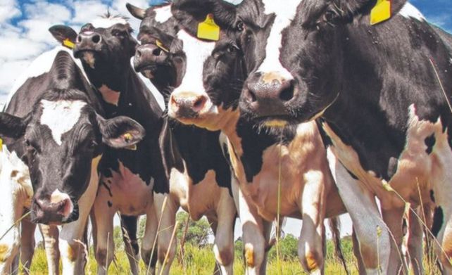 Cadena láctea: buenas cifras en una coyuntura desafiante