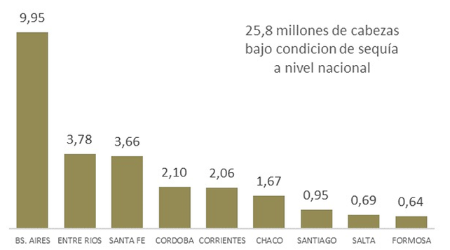 Ganadería: cerca del 50% del stock nacional se encuentra afectado por la sequía