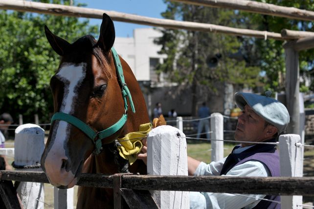 Después de 18 años volvieron las exposiciones a La Rural de Santa Fe