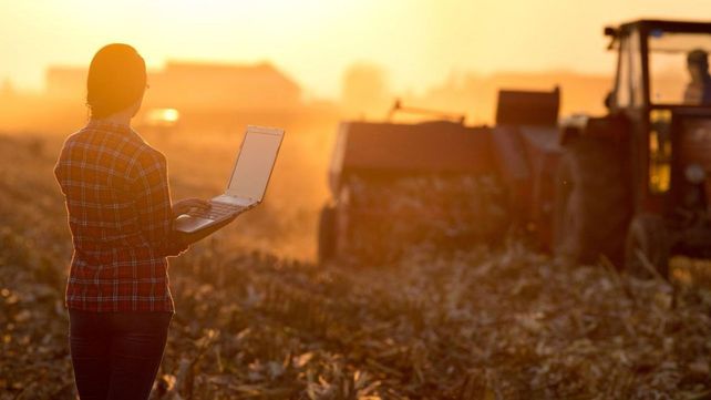 El Banco Nación consolida su liderazgo en el financiamiento al agro.