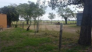 Mejora el bebé que cayó en un bebedero de animales