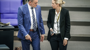 Alice Weidel junto al jefe de la bancada del&nbsp; AfD en el Congreso alemán.