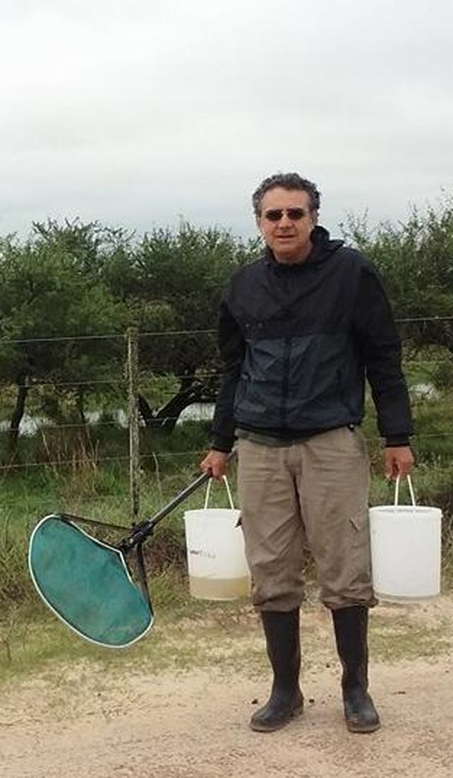 Para el especialista