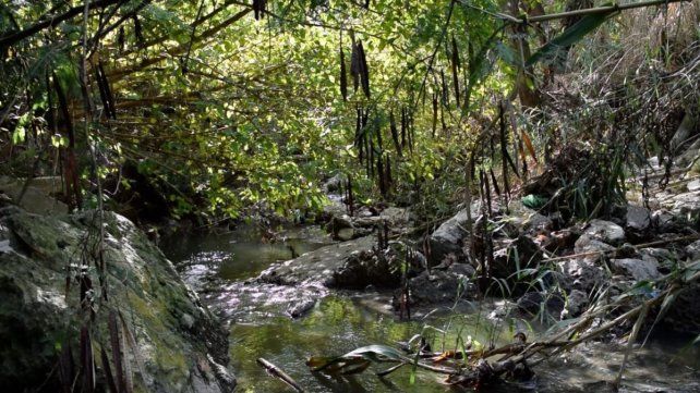 Presentaron un corto sobre los arroyos de Paraná y la organización ambiental vecinal