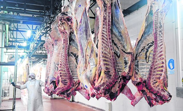 En enero se certificaron exportaciones por 64 mil toneladas de carne vacuna.