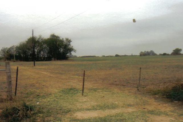 Funcionario paivense en la mira por robo de colmenas