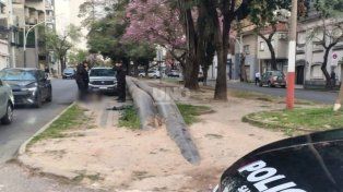 El lugar dónde encontraron al menor que luego fue trasladado al hospital Alassia&nbsp;