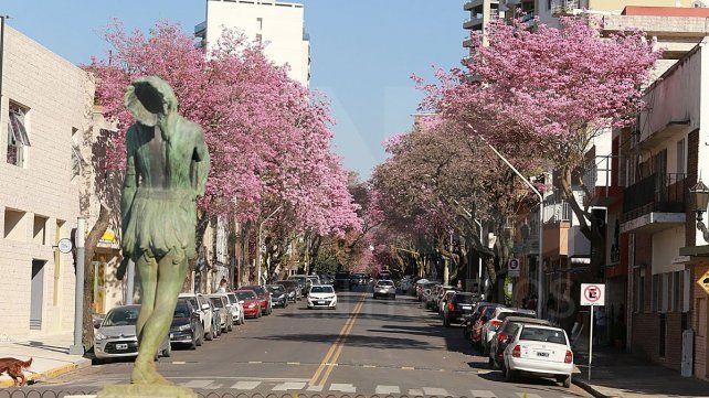 SMN: La primavera comenzaría con temperaturas más altas de lo normal