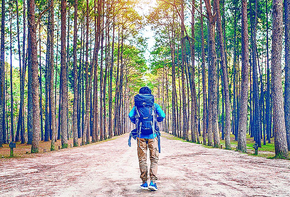 El placer de viajar asociado a beneficios del cerebro.&nbsp;