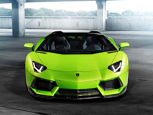 Lo detuvieron por atar un oso a su Lamborghini