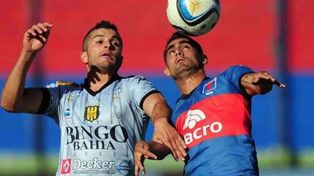 Tigre visita al descendido Olimpo pensando en su futuro