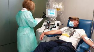 Definieron en qué casos indicar suero equino y plasma de convaleciente