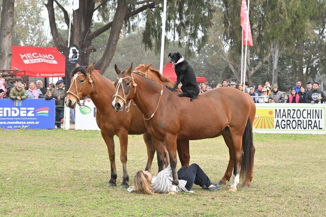 ExpoVenado 2025: Un grito de tradición y futuro en el corazón de la pampa húmeda
