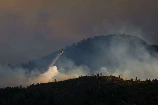 Desfinanciamiento ambiental: el costo socioecológico del ajuste