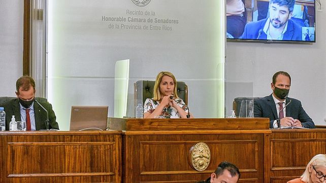 Stratta y senadores del PJ criticaron dichos de Goyeneche