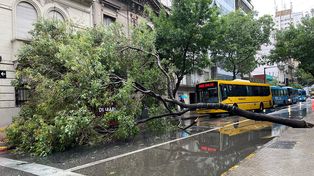 Fuerte tormenta en Rosario: vientos de 100 k/h