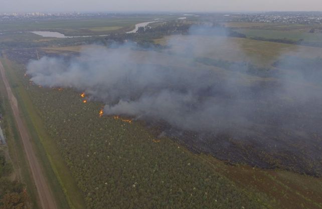 Incendio&nbsp;en una zona de pastizales sobre la margen del r&iacute;o Salado