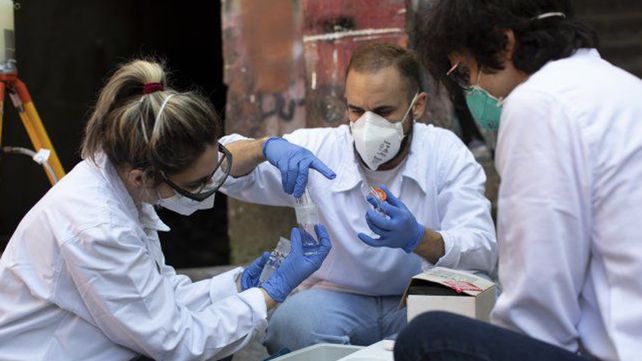 Ayer se detectaron en la ciudad 59 casos