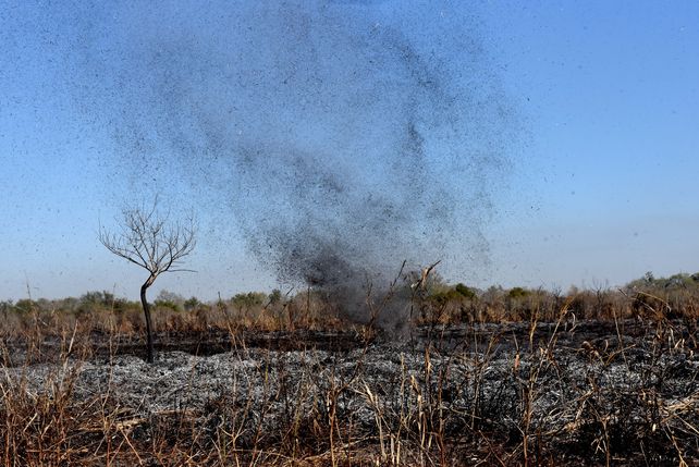 Para Mascheroni la quema en el Delta del Paraná es uno de los hechos que impactan y alertan a la sociedad sobre el cuidado ambiental.