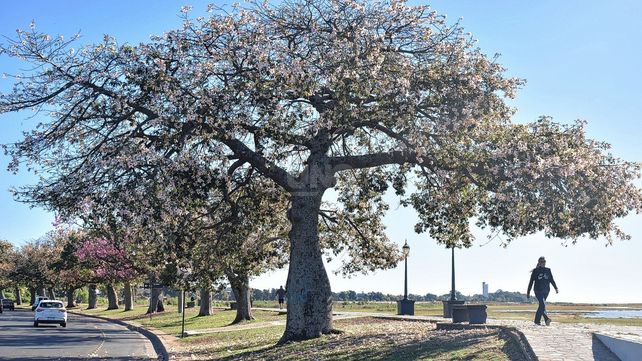 El tiempo en la ciudad de Santa Fe