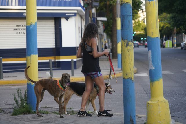 Gran parte de la ciudad está afectada pr el vandalismo.
