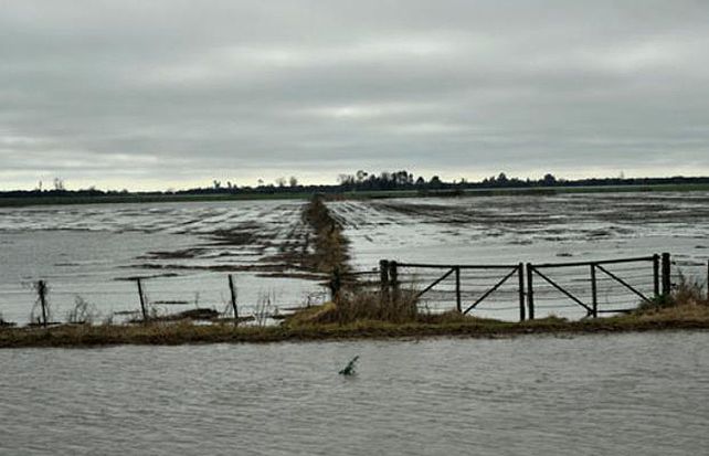 Los productores piden obras y un debate sobre el cambio climático. (Foto: Virginia Benedetto)