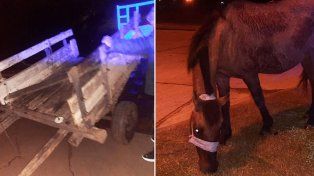 Un joven de 23 años fue detenido esta madrugada por maltrato animal, luego de ser sorprendido junto a una yegua gravemente herida y en estado de abandono.