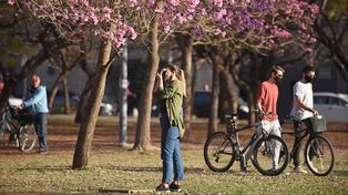 Este domingo llega con condiciones de tiempo templado, casi primaveral.&nbsp;