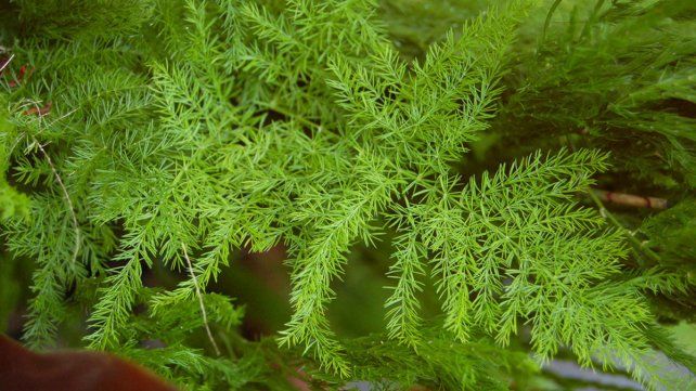 Se puede colocar en cualquier zona del hogar &nbsp;