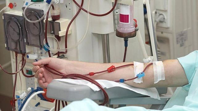 Crece el número de personas que necesitan un riñón para dejar la diálisis y tener mejor calidad de vida