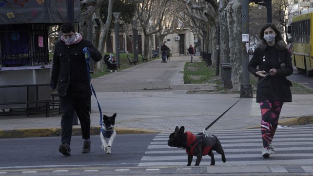 Este viernes asoma con cielo despejado y con una mañana muy fría. Por la tarde