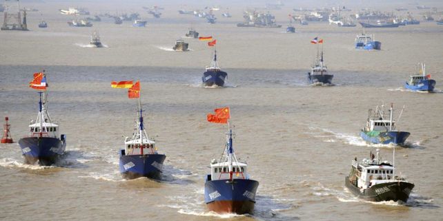 La flota pesquera china incurre en depredación sistemática de especies en peligro.