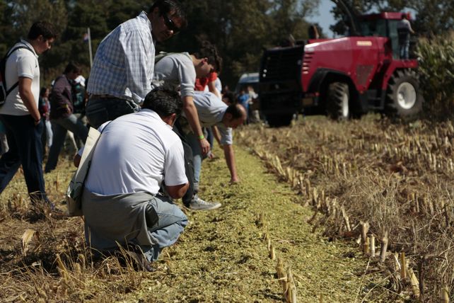 Tendencia. La cámara de contratistas (Facma) prevé que el sector encarará un proceso de inversión en renovación de equipos. &nbsp;
