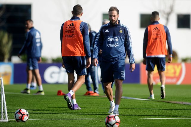 Pipita Higuaín jugó cono delantero en el equipo que probó hoy el DT Gerardo Martino en la práctica de la selección nacional.&nbsp;