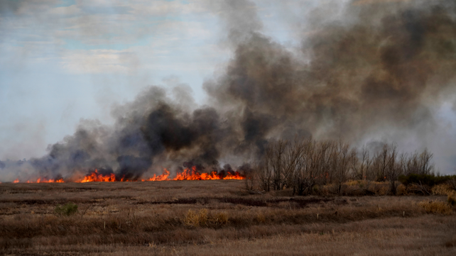 El 2022 fue un quiebre en el vínculo de los rosarinos con los incendios forestales.