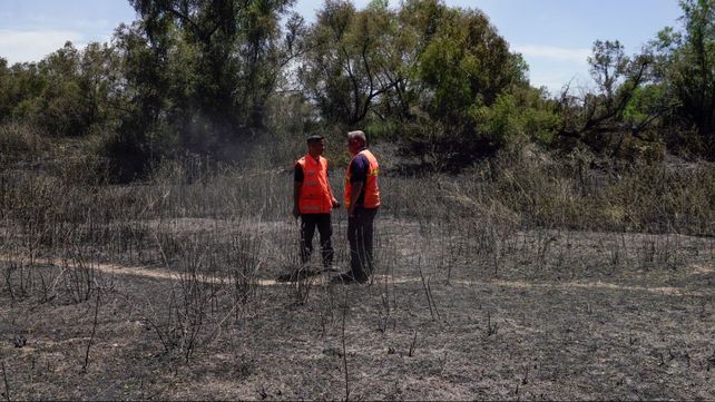 Sigue el fuego en la islas y los brigadistas trabajan incansablemente