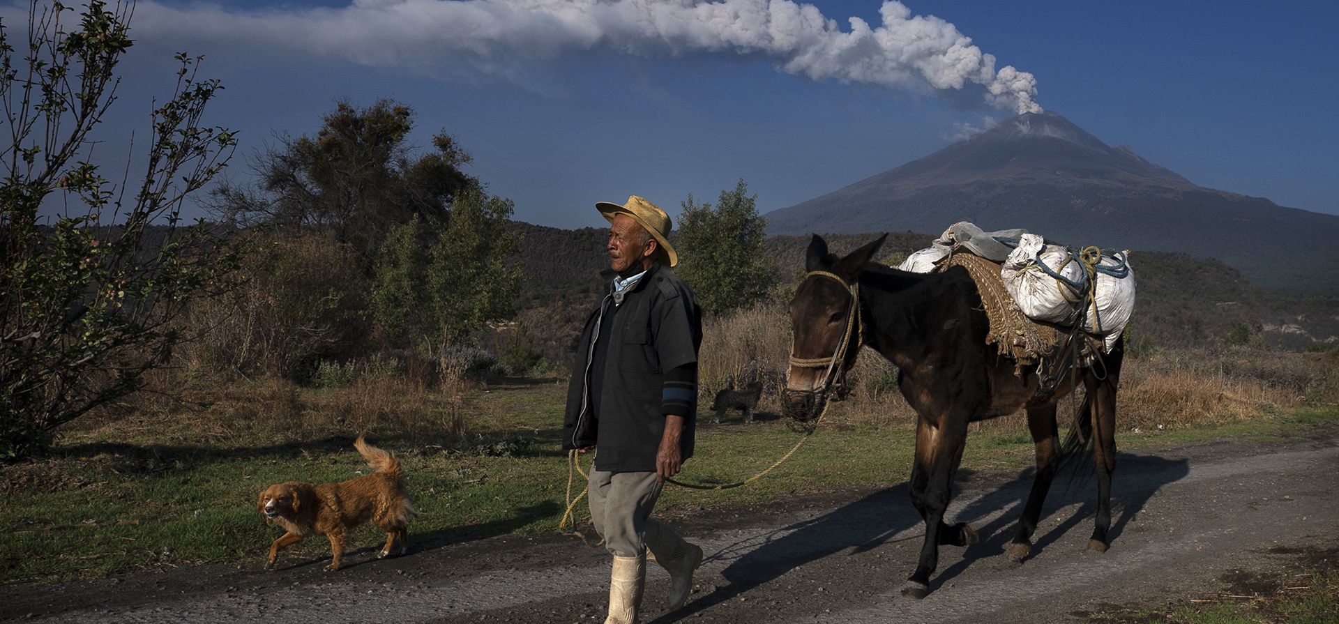 José Marcos De Olarte pasea su mula para sembrar maíz en su tierra cerca del volcán Popocatépetl que arroja ceniza y vapor, en Santiago Xalitzintla, México, la madrugada del jueves 25 de mayo de 2023. (Foto AP/Marco Ugarte) José Marcos De Olarte pasea su mula para sembrar maíz en su tierra cerca del volcán Popocatépetl que arroja ceniza y vapor, en Santiago Xalitzintla, México, la madrugada del jueves 25 de mayo de 2023. (Foto AP/Marco Ugarte)