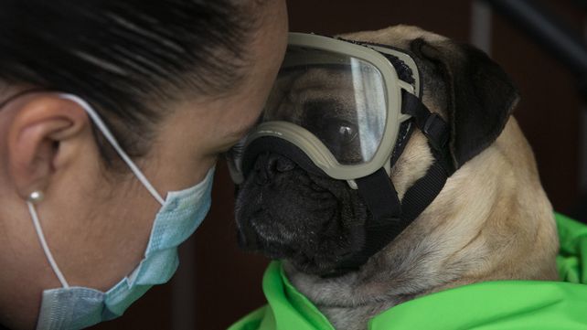 Veinte imágenes del lunes en un mundo en crisis por el coronavirus