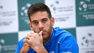 Juan Martín del Potro felicitó al equipo de la Davis por la entereza ante la derrota con Italia.&nbsp;