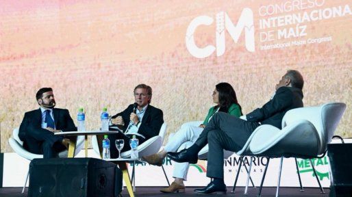Bahillo sobre las retenciones: Hay que animarse a repensar la estructura impositiva