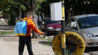 Cronograma de fumigaciones en la ciudad para esta semana