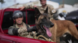Un perro argentino rescató a dos menores atrapados bajo los escombros tras el terremoto en Venezuela Un perro argentino rescató a dos menores atrapados bajo los escombros tras el terremoto en Venezuela