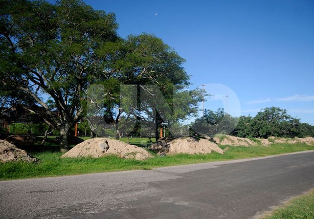 Comienza a tomar forma el traslado de los boliches a la zona de la Fuente de la Cordialidad