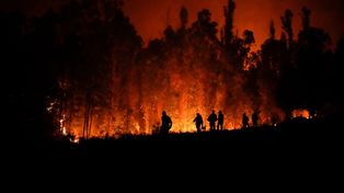 Los incendios revivieron con fuerza en el sur de Chile y hay preocupación