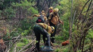 Brigadistas entrerrianos combaten el fuego en el Parque Nacional Los Alerces